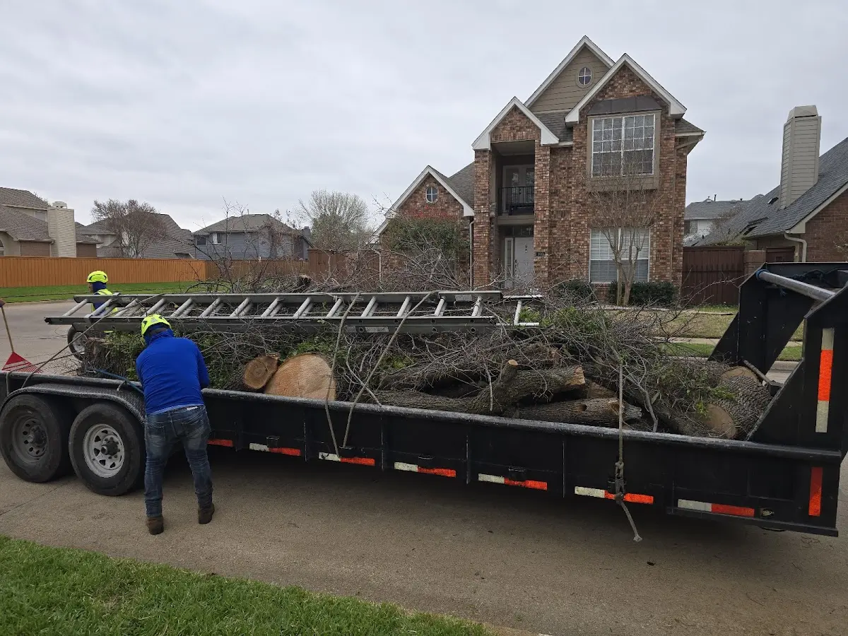 Expert Tree Pest Control with proper safety equipment in Itasca